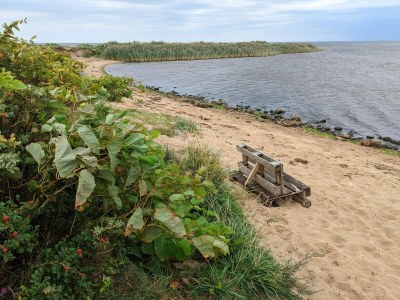 Holiday house Ruhiger Strand-Ruckzugsort-By Traum - Outdoor photo 40