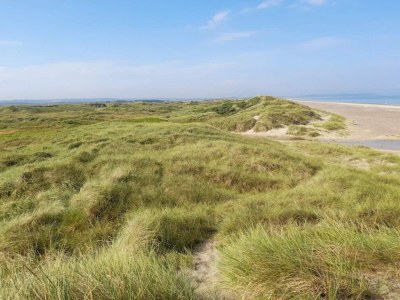 Holiday house 8 Personen Ferienhaus in Fjerritslev - Outdoor photo 34