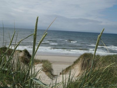 Holiday house 6 person holiday home in Ringkøbing - Outdoor photo 26