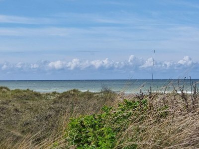 Holiday house 18 person holiday home in Fjerritslev - Outdoor photo 12