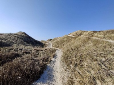 Holiday house 18 person holiday home in Fjerritslev - Outdoor photo 26