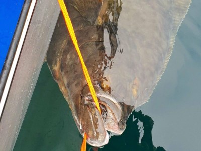 Holiday house 8 Personen Ferienhaus in STONGLANDSEIDET - Outdoor photo 15