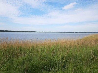 Holiday house 6 person holiday home in Jægerspris - Outdoor photo 22