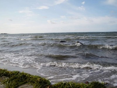 Holiday house 6 person holiday home in Jægerspris - Outdoor photo 30