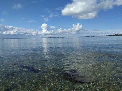 Holiday house 6 person holiday home in Jægerspris - Outdoor photo 31