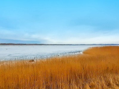 Holiday house 6 person holiday home in Jægerspris - Outdoor photo 36