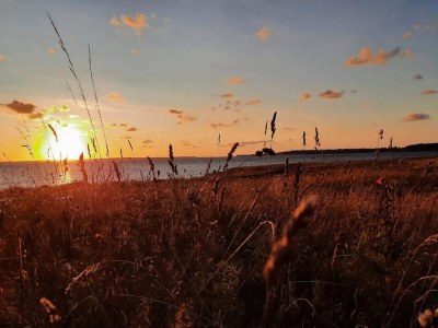 Holiday house 6 person holiday home in Jægerspris - Outdoor photo 41