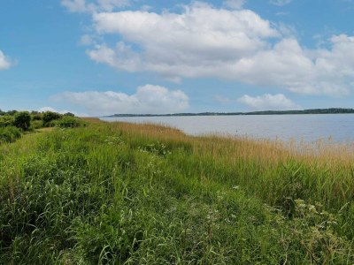 Holiday house 6 person holiday home in Jægerspris - Outdoor photo 47