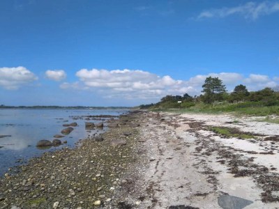 Holiday house 6 person holiday home in Jægerspris - Outdoor photo 53