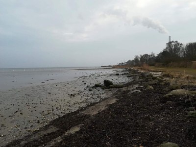 Holiday house 4 person holiday home - Outdoor photo 7