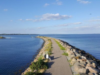 Holiday house 4 person holiday home - Outdoor photo 33