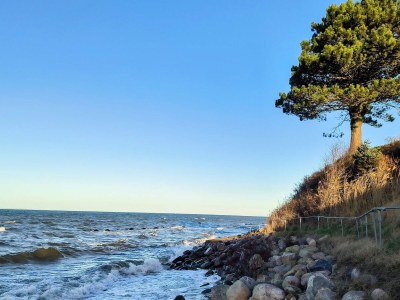 Holiday house Ferienhaus mit Blick auf Baring Vig - Outdoor photo 18