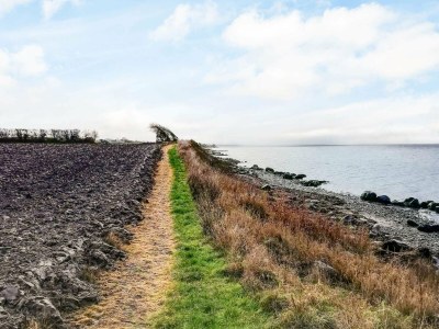 Holiday house 4 person holiday home in Tranekær - Outdoor photo 7