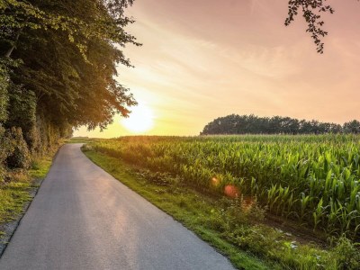 Holiday house 4 person holiday home in Tranekær - Outdoor photo 8