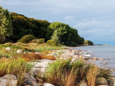 Holiday house 4 person holiday home in Tranekær - Outdoor photo 31