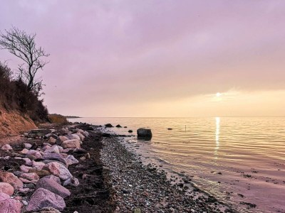 Holiday house 4 person holiday home in Tranekær - Outdoor photo 40