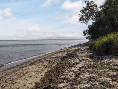 Holiday house 4 person holiday home in Tranekær - Outdoor photo 43