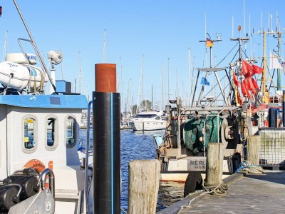 Apartment Gemütliches modernes Apartment mit Meerblick - Outdoor photo 17