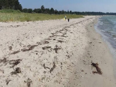 Holiday house 4 person holiday home in Knebel - Outdoor photo 23