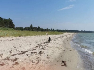 Holiday house 4 person holiday home in Knebel - Outdoor photo 24