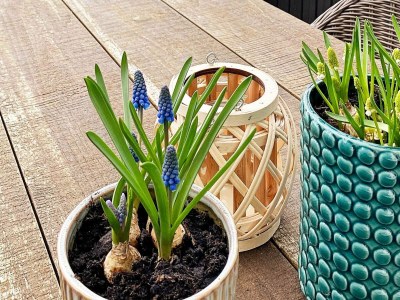 Holiday house 6 person holiday home in Vinderup-By Traum - Outdoor photo 6