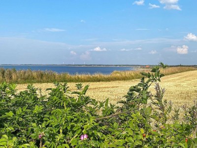 Holiday house 6 person holiday home in Vinderup-By Traum - Outdoor photo 15