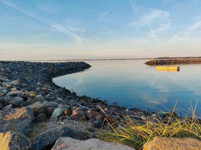 Holiday house 6 person holiday home in Vinderup-By Traum - Outdoor photo 24