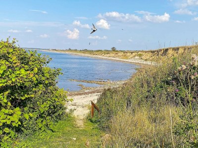 Holiday house 6 person holiday home in Vinderup-By Traum - Outdoor photo 44