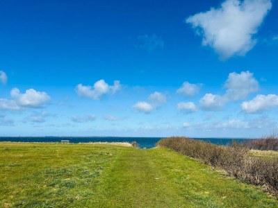 Holiday house 6 person holiday home in Vinderup-By Traum - Outdoor photo 46