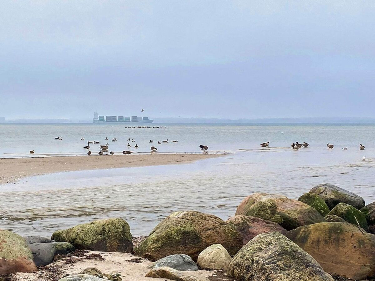 Apartment Apartment mit Ostseeblick-Sandpieper - Outdoor photo 2