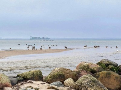 Apartment Apartment mit Ostseeblick-Sandpieper - Outdoor photo 2