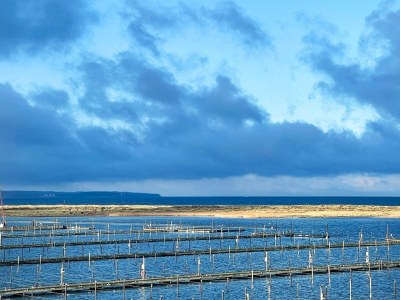 Apartment Apartment mit Ostseeblick-Sandpieper - Outdoor photo 8