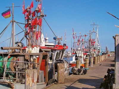 Apartment 6 Personen Ferienhaus in Wendtorf - Outdoor photo 27