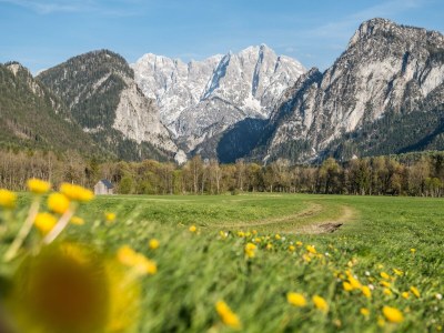 Holiday room DZ Bergblick Nächtigung - Outdoor photo 5