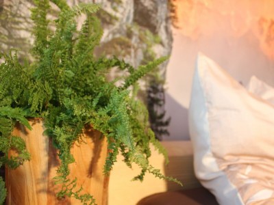 Holiday room DZ Bergblick Nächtigung - Features photo 20