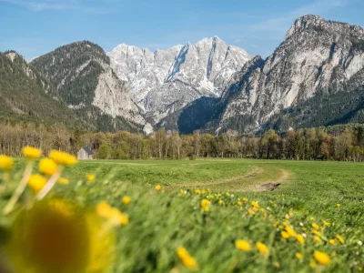 Holiday room ZZ Friedhofblick Nächtigung - Outdoor photo 5