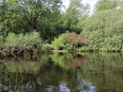 Holiday house 5 person holiday home in Ansager-By Traum - Outdoor photo 10