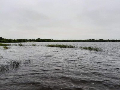 Holiday house 5 person holiday home in Ansager-By Traum - Outdoor photo 39