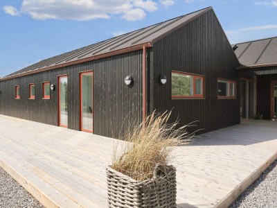 Holiday house 10 Personen Ferienhaus in Jerup-By Traum - Outdoor photo 11