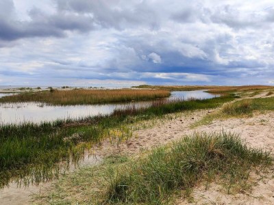Holiday house 8 Personen Ferienhaus in Hals - Outdoor photo 17