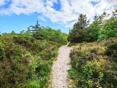 Holiday house 8 Personen Ferienhaus in Hals - Outdoor photo 26