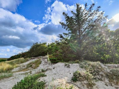 Holiday house 8 Personen Ferienhaus in Hals - Outdoor photo 35