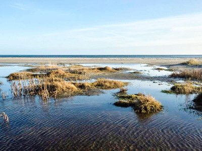 Holiday house 8 Personen Ferienhaus in Hals - Outdoor photo 37