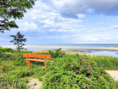 Holiday house 8 Personen Ferienhaus in Hals - Outdoor photo 40