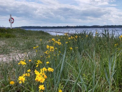 Holiday house 8 Personen Ferienhaus in Aabenraa-By Traum - Outdoor photo 21