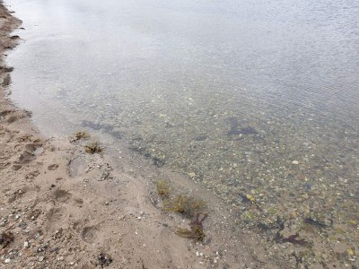 Holiday house 8 Personen Ferienhaus in Aabenraa-By Traum - Outdoor photo 36