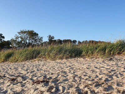 Holiday house 8 Personen Ferienhaus in Aabenraa-By Traum - Outdoor photo 38