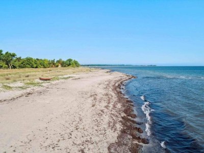 Holiday house 5 Personen Ferienhaus in Stege-By Traum - Outdoor photo 6