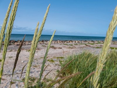 Holiday house 5 Personen Ferienhaus in Stege-By Traum - Outdoor photo 18