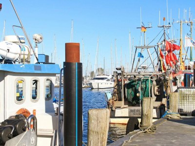 Apartment 6 Personen Ferienhaus in Wendtorf - Outdoor photo 24